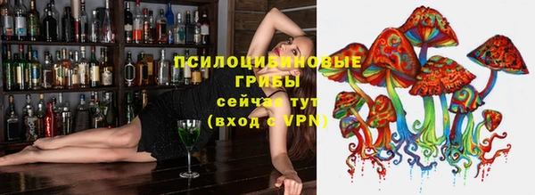 хмурый Балабаново